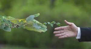 environmental-impact
