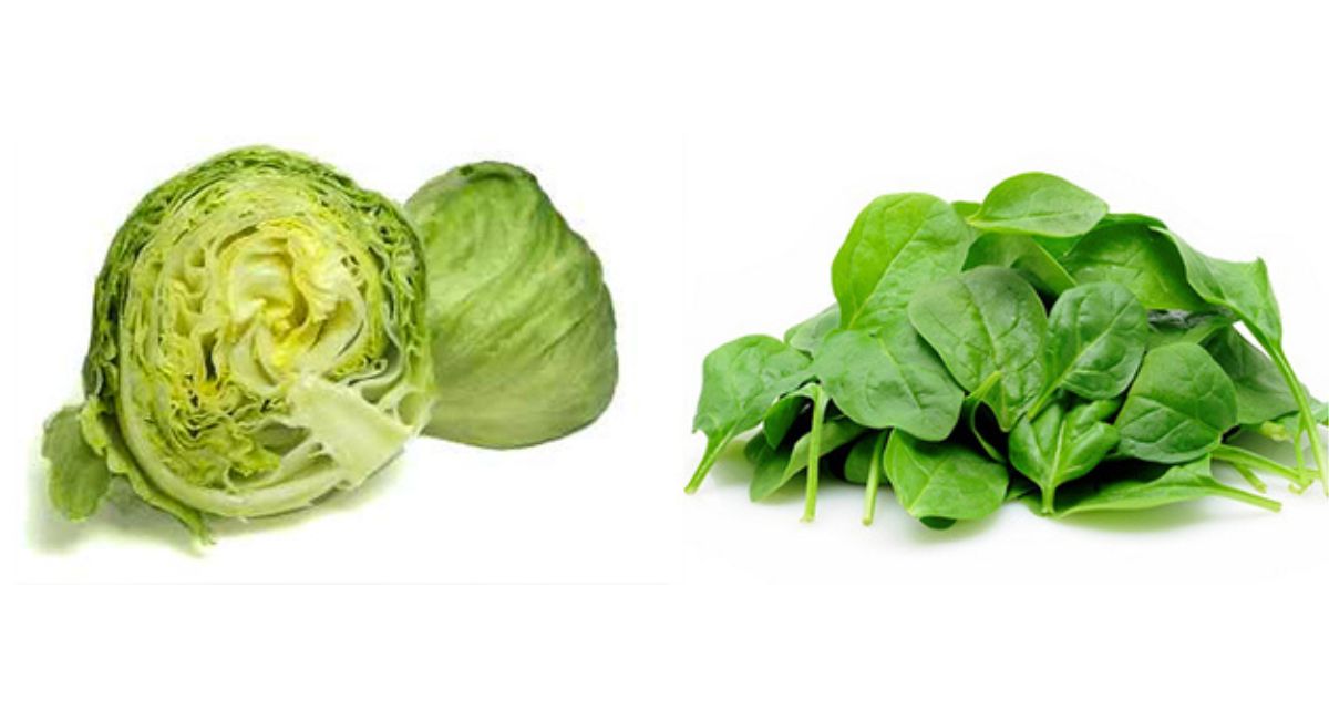 is spinach better than lettuce