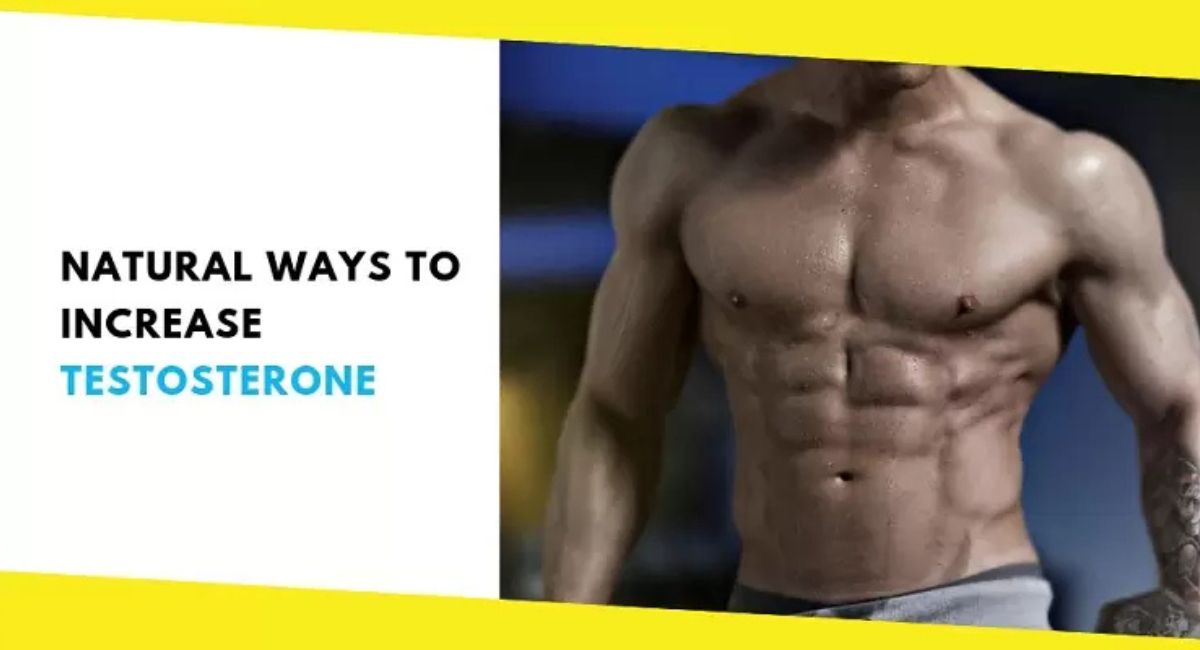Does Exercise Increase Testosterone? Boost Vitality Naturally 3 natural-ways-to-support-testosterone