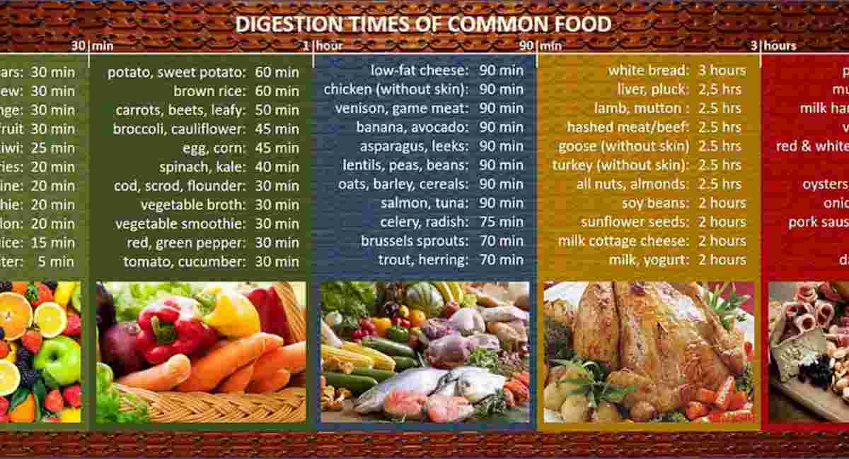 how-to-plan-meals-for-better-digestion