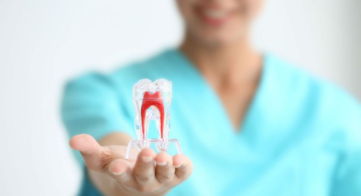 Tooth Infection Home Remedy: What Works Instantly (Backed by Experts) 3 natural-antibiotics-and-herbal-treatments