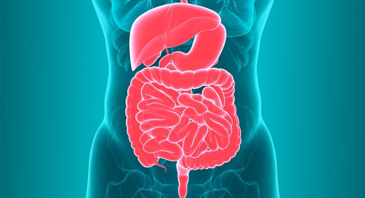 preventive-measures-healthy-digestive-system