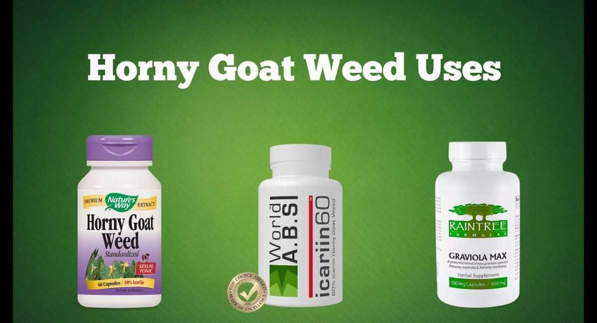 Best Time to Take Horny Goat Weed – Maximize Energy and Performance 3 horny-goat-weed-dosage