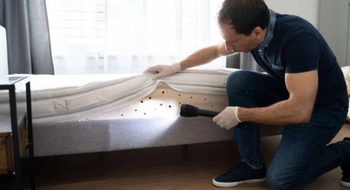 Can Bed Bugs Live in Your Hair? Experts Reveal the Truth You Need to Know 4 how-to-prevent-bed-bugs-from-coming-back